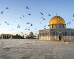 Vũ điệu của đàn sáo đá di cư tại Israel