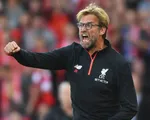 'Jurgen Klopp là nỗi ô nhục của bóng đá Anh'