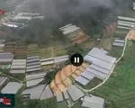 Phá bỏ nhà kính: Có phải là giải pháp khả thi trong phát triển Đà Lạt?