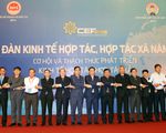 Kinh tế hợp tác, hợp tác xã chiếm 10#phantram GDP