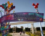 Lo ngại bệnh sởi lây lan khi tham quan công viên Disneyland