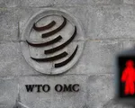 Hàn Quốc từ bỏ vị thế “quốc gia đang phát triển” tại WTO