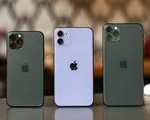 Được và mất gì khi mua iPhone chính hãng và iPhone xách tay?