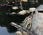Ô nhiễm kênh Bắc Hưng Hải ảnh hưởng đến cuộc sống của hàng nghìn hộ dân