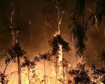 Australia ban bố t&igrave;nh trạng khẩn cấp do ch&aacute;y rừng