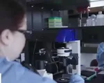 Phát minh mới về phương pháp điều trị HIV/AIDS