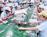 TP.HCM khảo sát tình hình lương, thưởng Tết Canh Tý 2020