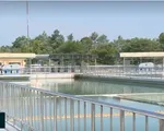 Thông tin về tình trạng ô nhiễm nước sông Đồng Nai là không chính xác