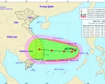 Bão số 6 quay đầu hướng về Việt Nam, có thể là bão mạnh nhất từ đầu năm