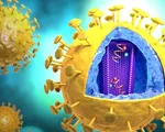 Phát hiện chủng mới của virus HIV