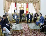 Tăng cường hợp tác Việt Nam - Ai Cập