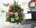 Cách cắm cây thông bằng lá tùng đơn giản nhưng vẫn đẹp lung linh