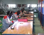 Hỗ trợ doanh nghiệp Việt nâng cao năng lực cạnh tranh