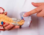Thuốc làm tiêu biến khối u ung thư tuyến tụy trong 14 ngày