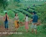 Nước mắt loài cỏ dại - Tập 11: Thấy em gái có bạn trai, anh họ lại ghen ra mặt