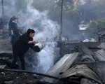 Cháy rừng nghiêm trọng thiêu rụi 150 căn nhà ở Chile
