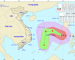 Bão số 7 khả năng sẽ suy yếu và tan trên biển