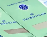 Những chính sách kinh tế nổi bật có hiệu lực từ tháng 2/2019