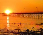 Australia như thiêu đốt dưới cái nóng gần... 50 độ C