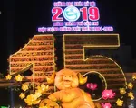 Đường hoa Xuân Cần Thơ rực rỡ, làm từ 80.000 chậu hoa tươi