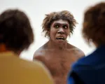 Các nhà khoa học công bố phát hiện mới về người Neanderthal