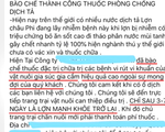 Cảnh giác chiêu quảng cáo chữa được dịch tả lợn châu Phi