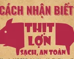 [INFOGRAPHIC] Cách nhận biết thịt lợn sạch, an toàn