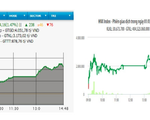 Phiên đầu tháng, 3 chỉ số thị trường chứng khoán trong nước đều tăng điểm