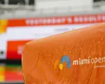 Infographic: Tìm hiểu về giải quần vợt Miami mở rộng 2019