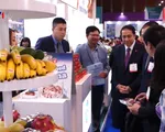 Lợi thế cạnh tranh của nông sản Việt xuất khẩu