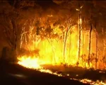 Nỗ lực dập cháy rừng tại Australia