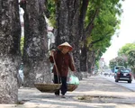 Trời chuyển nắng, nhiệt độ tăng ở khu vực Bắc miền Trung