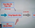 Bất cập việc cấp mã code trái cây xuất khẩu