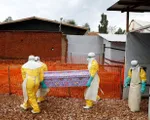 Hơn 750 người tử vong vì dịch Ebola tại Congo