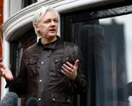 Mỹ cáo buộc ông chủ Wikileaks phạm tội xâm nhập tin tặc