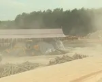 Xây dựng trái phép, nhà máy dăm gỗ vẫn hoạt động lén lút ở Quảng Trị