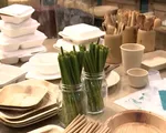 Nhiều sản phẩm thân thiện môi trường thay thế đồ nhựa dùng 1 lần