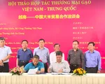 Tìm giải pháp đẩy mạnh xuất khẩu gạo sang Trung Quốc