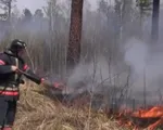 Cháy rừng dữ dội ở Siberia, Nga