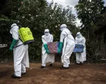 WHO kêu gọi điều chỉnh chiến lược đối phó với dịch Ebola ở CHDC Congo