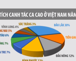 Giá ca cao tăng lên hơn 55 triệu đồng/tấn