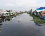 Công bố nguyên nhân sông Cái Lớn bị ô nhiễm nghiêm trọng trong tuần này