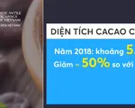 Giá ca cao kỳ hạn tăng