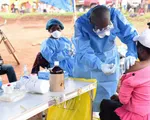 WHO: 25#phantram số ca nhiễm Ebola không được phát hiện tại Congo