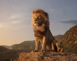 Sau suất chiếu đầu tiên, “The Lion King” được xướng danh “tuyệt tác điện ảnh 2019”