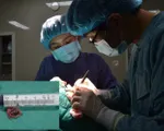 Nốt ruồi có biểu hiện ngứa, đi khám phát hiện ung thư da
