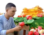 Thổi hồn d&acirc;n gian v&agrave;o hoa l&aacute; kh&ocirc;
