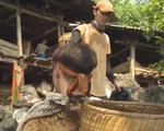 Nhìn ST hứng 'cơn mưa phân bò', Bình An cố nhịn cười trong Cuộc đua kỳ thú
