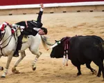 Lễ hội đua cùng bò tót San Fermin ở Tây Ban Nha