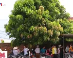 Giám đốc DN tại Bắc Giang bỏ trốn, hàng trăm công nhân lao đao